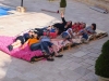 bed of roses