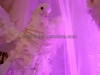 Pigeon made of orchids